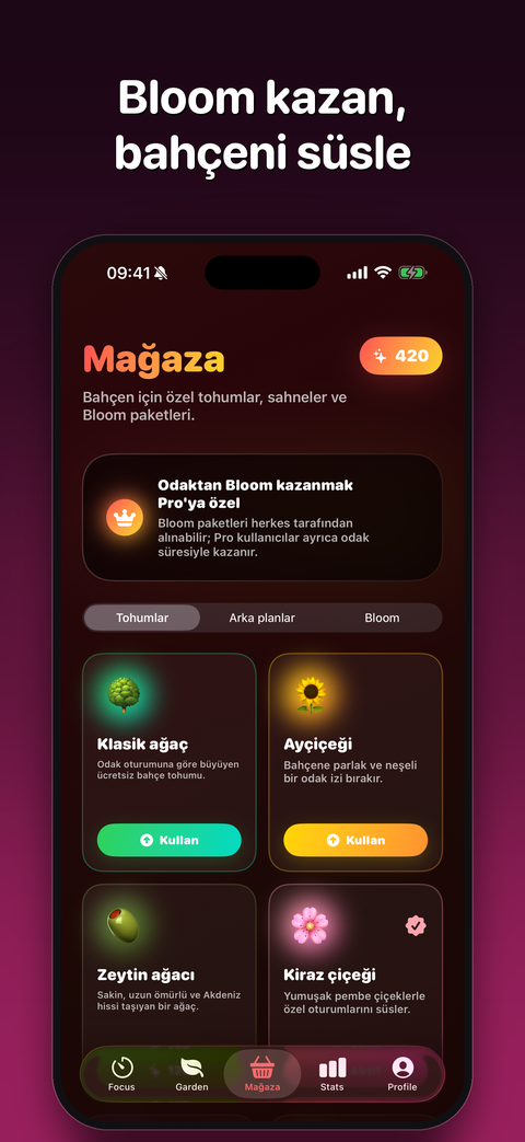 Mağaza
