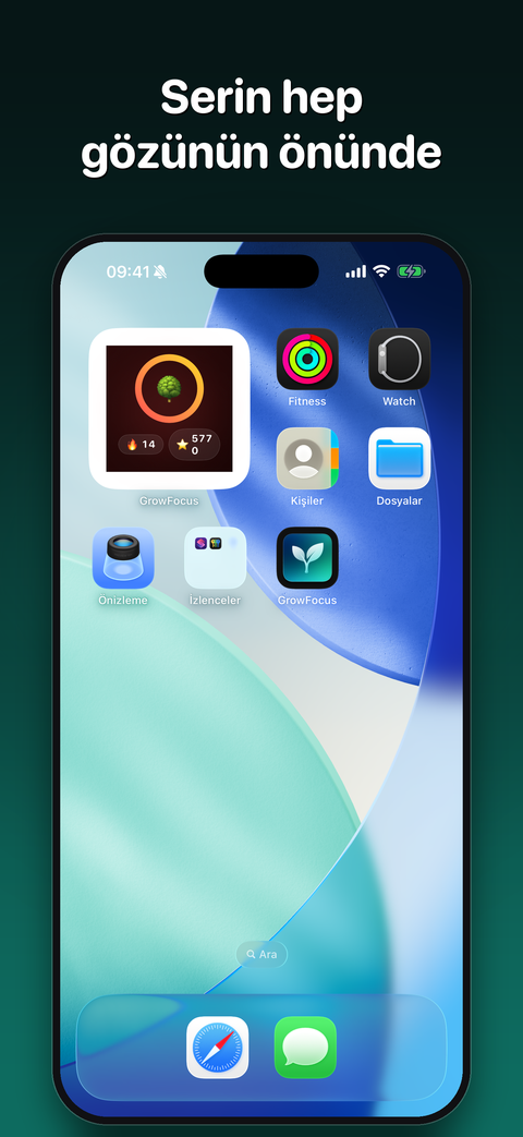 Ana ekran widget'ı